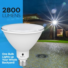 2 Pack High Power Outdoor PAR38 20W 250 Watt Equivalent 2800 Lumens Dimmable LED Flood Light Bulb Super Bright Waterproof E26 5000K Daylight Spotlight Bulbs for Security Backyard Garage Night Chaser