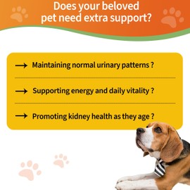 6-in-1 Kidney Support for Dogs & Cats – Promotes Healthy Kidney Function, Energy Levels & Fluid Balance – Veterinarian Formulated Herbal Supplement with Vitamin B2 & B6 – 2 fl oz (59 ml)