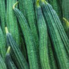 Gourd Seeds - Yu Sing - Hybrid - 1 Oz