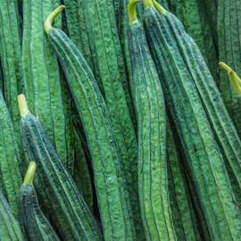 Gourd Seeds - Yu Sing - Hybrid - 1 Oz ~200 Seeds - Non-GMO, F1 Hybrid - Asian Garden Vegetable