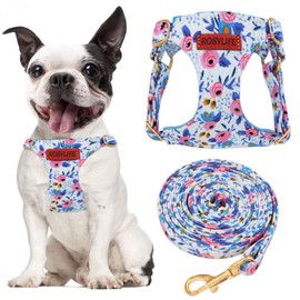 No Pull Dog Harness Adjustable Small Harness and Leash Set, Lightweight and Soft Dog Harness No Choke Escape Proof Pet Harness Vest (Blue Rose, S)
