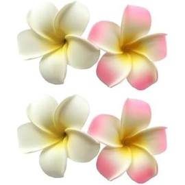 4 Pcs Hawaiian Frangipani Plumeria Foam Head Flower Party Beach Hair Clip,Hair Clips, 7cm Clips and Barrettes, Hair Styling Accessories (White,Pink)