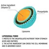 Adelle Davis® Liposomal Vitamin C 1000 mg High Dose Liquid
