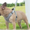 ORYEDA Dog Harness No Pull for Small Size, Easy Walk