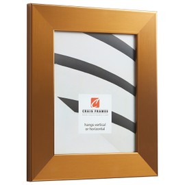 Craig Frames Bauhaus 200 Picture Frame, 11 x 14 Inch, Stainless Brass