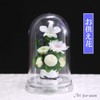 Art Four Season ◎Offering Mom Dome Preserved Flower (White)