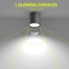 EBION Surface-Mounted Spotlight, GU10, IP65 Waterproof, Surface-Mounted Light, Anthracite, Max