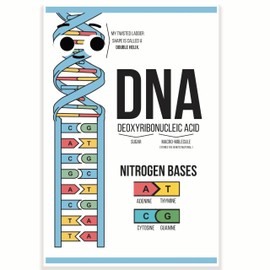 DNA Explanation Classroom Poster - Science Classroom Poster - 12 x 18 Inch - Classroom Decor - Classroom Must Haves - Back To School Decor - CPS0319