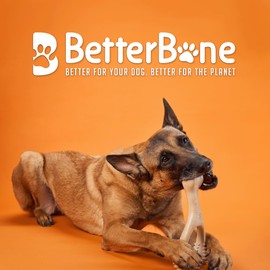 BetterBone - All-Natural, Nylon-Free Dog Chew Toys - Hard Density - Ideal for Strong to Aggressive Chewers - Non-Toxic, Promotes Dental Health, Splinter-Resistant, Sustainably Made