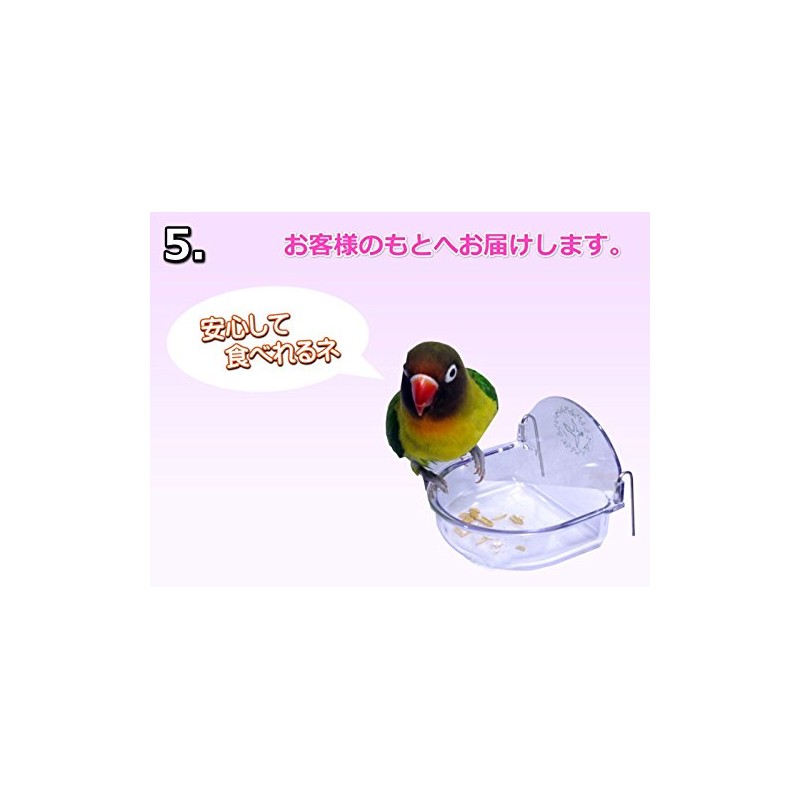 Natural Oyster Shell Ozone Sterilization Hand Wash Volley Powder 50g