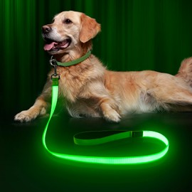 LED Dog Leash Light Up Dog Leash 4 Feet Micro USB Rechargeable Nylon Webbing Glow Safety Standard Dog Leash for Dogs by Bpawser (Green)