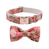 Elegant little tail Dog Collar, Cotton and Webbing, Christmas Dog