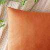 EMEMA Fall Orange Velvet Throw Pillow Covers 20x20 Inch Set