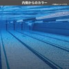 Swans SR-81NPAF NAV Swimming Goggles, Made in Japan, Navy x