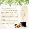 Kanazawa Yamagishi Apiary Aichi Akashia 17.6 oz (500 g) Pure