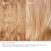 Olaplex Hair Repair Treatment Kit