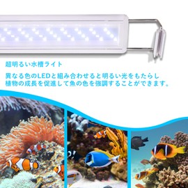 LEDGLE Aquarium Light, 8W, Aquarium Light, 11.8 - 15.7 inches (30 - 40 cm), 40 LEDs (5 Blue, 35 White) LED Fish Light, Aquarium Lighting, Aquarium Plant Cultivation, Aquarium Fish Breeding