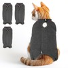 3 PCS Cat Recovery Suit for Spay Abdominal Wounds, Onesie