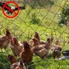 Windyun 2 Pcs Bird Netting Bird Net Chicken Coop 2.4"