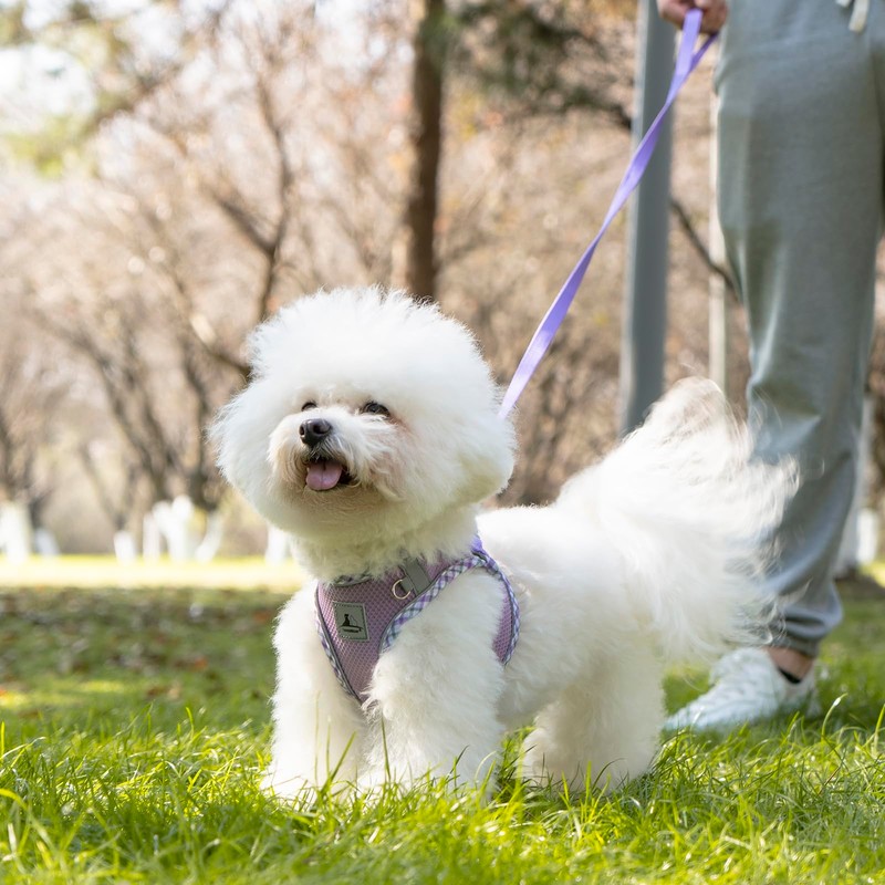 TomteNisse Dog Harness and Leash Set, No Pull Pet Harness