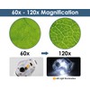 Microscope Kids 60x-120x LED Lighted Pocket Microscope Mini Portable Handheld