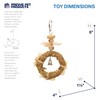 Pervue Pet Products Naturals Sound & Movement Crown Bird Toy,4"