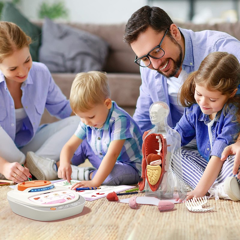 Science Can Human Body Model for Kids - Interactive Anatomy