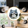 Norhogo Ceramic Pet Nest Pet Ceramic Hamster Hideout Nest Summer