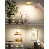 WILLED Picture Lights Battery Operated,Rechargeable Wall Light for Picture,Puck Lights