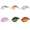 Scuds - 6 Piece Fly Assortment