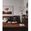 Crime Files - Case Files: Self-discovery with death result. The