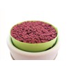 Mini Incense Sticks Refreshing, Sweet Scented Incense Sticks Cherry For