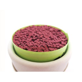 Mini Incense Sticks Refreshing, Sweet Scented Incense Sticks Cherry For It Like It Was That Person or Pet Dog For Incense Stick Stand With Mayers Extract