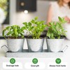 Herb Planter Indoor | Grow Fresh Herbs At Home |