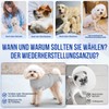 Eyein Dog Bodysuit After Surgery, Wound Protection Suits for Female