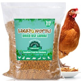 LuckyQworms 5 LBS Dried Black Soldier Fly Larvae Mealworms  Non-GMO for Chicken Birds Treats