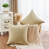 GAWAMAY Decorative Square Throw Pillow Covers 20x20 Inch Set of
