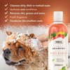 PET-788241 Wahl Shampoo Dirty Beastie (250ml)