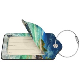 Hawaiian Sea-Turtle-1 2 Pack Luggage Tag for Suitcase, Luggage Tags for Suitcases,Leather Stainless Steel Loop Label Tag for Men Women Girlstravel Bag Suitcase