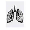 'Human Lungs' Temporary Tattoo - Water Resistant, Skin-Safe, Non-Toxic Transfer