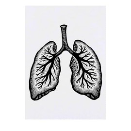 'Human Lungs' Temporary Tattoo - Water Resistant, Skin-Safe, Non-Toxic Transfer (TO00080671)