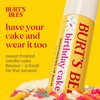Burt's Bees Lip Balm Birthday Cake, Moisturising Lip Balm With