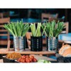 Olympia CP497 Galvanised Steel Chip Cup