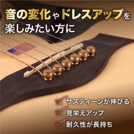 factus Bridge Pin for Acoustic Guitar, End Pin, Brass, Brass [Pin Removal & Instruction Manual Included] (1. Round Head)