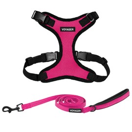 Voyager Step-in Lock Dog Harness w Reflective Dog Leash Combo Set with Neoprene Handle 5ft - Supports Small, Medium and Large Breed Puppies/Cats by Best Pet Supplies - Fuchsia Base, S