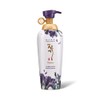 Daeng Gi Meo Ri - Vital Premium Shampoo and Treatment