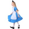 shengo Blue & White Pinafore Dress, World Book Day Girls