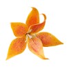 Crystal Candy Make-a-Tiger-Lily Wafer-Paper Flowers, Yellow