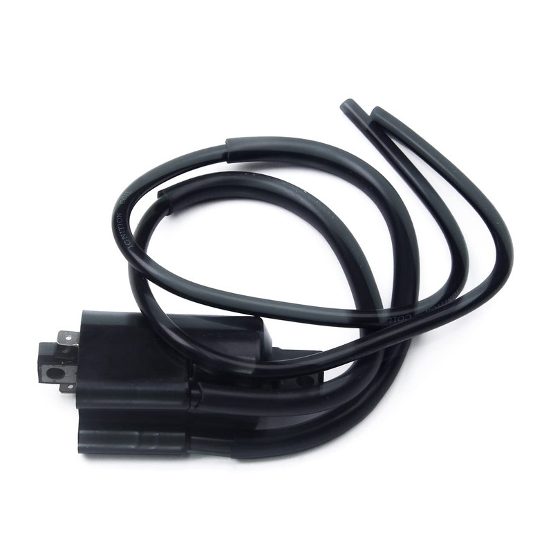 Goodbest New 2 SETS Ignition Coils and Spark Plug Caps