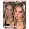 Brown Lash Clusters Wispy Eyelash Clusters Brown Natural